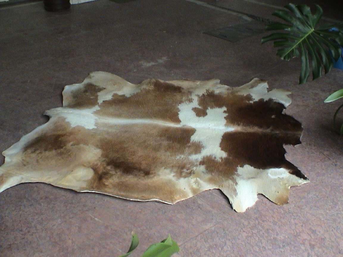 Cattle leathers for carpets